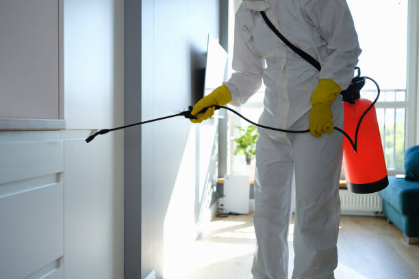 Best Crawl Space Mold Remediation  in Ashland, CA