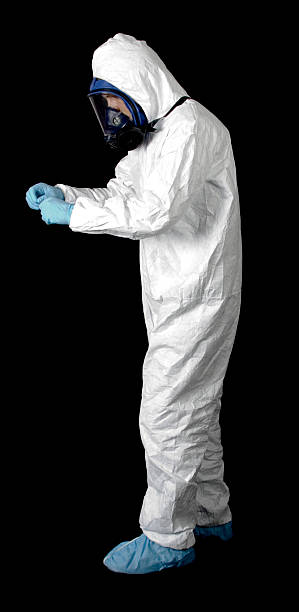 Best Mold Damage Restoration  in Ashland, CA