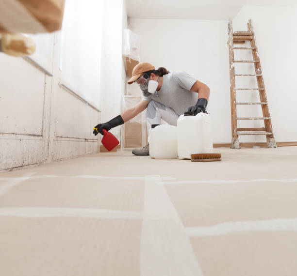 Best Residential Mold Inspection & Testing  in Ashland, CA